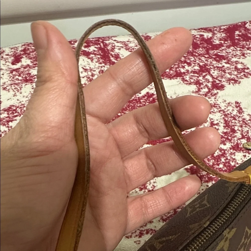 Louis Vuitton Monogram Pochette Accessories